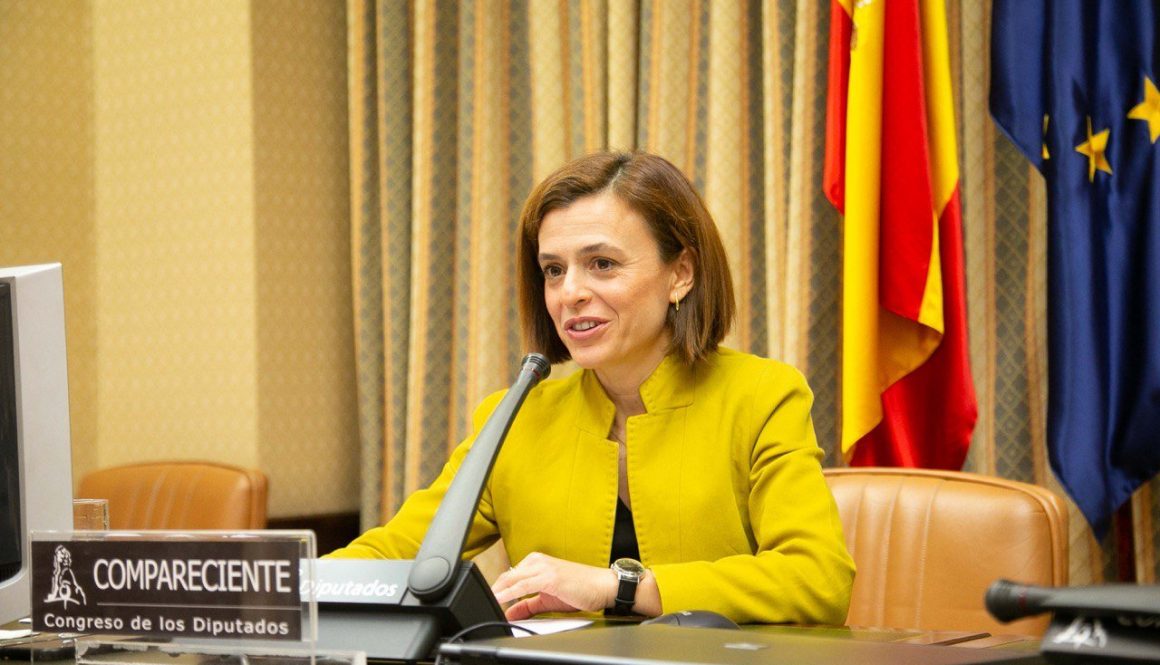 Comparecencia congreso