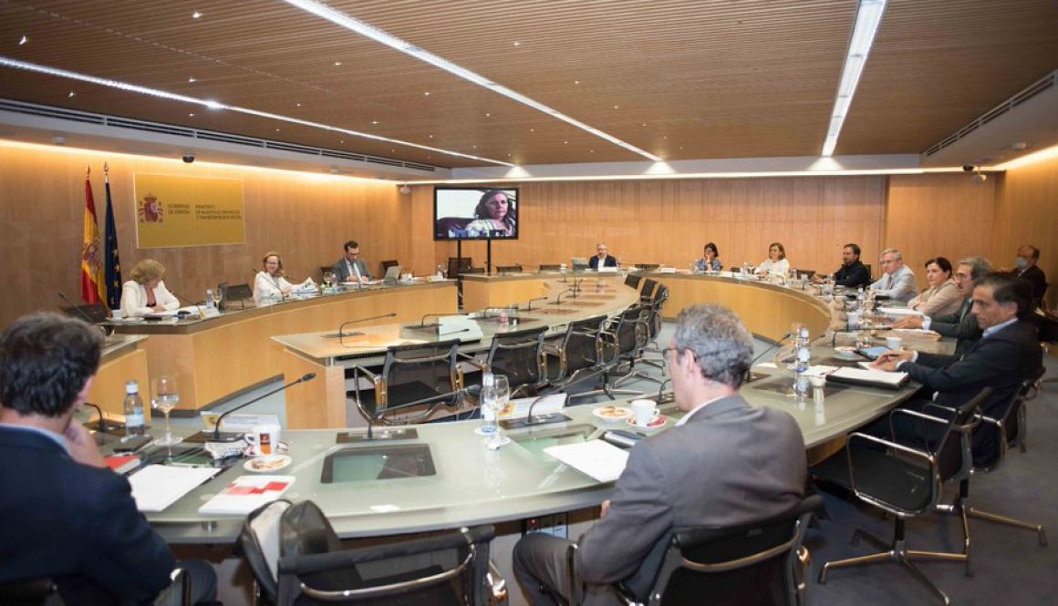 Consejo asesor de asuntos económicos