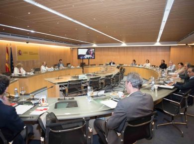 Consejo asesor de asuntos económicos