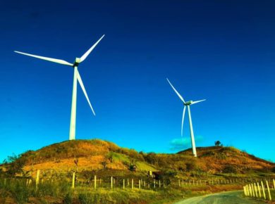 40525012553_d9704f4bde_c