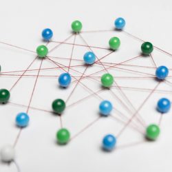 DISTRIBUTIONAL IMPACTS