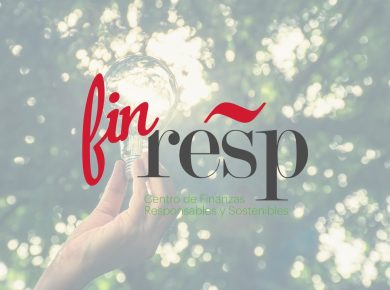 Hand of person holding light bulb for idea or success or solar energy